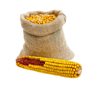 Laboratory order EN ISO 6540 (corn)