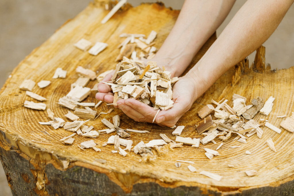 Holzstamm mit Hackschnitzeln darauf. Hände halten Hackgut.