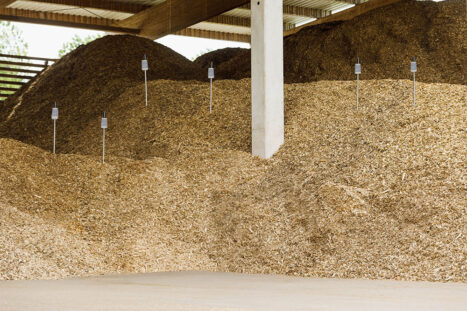 huminode Einstechelektrode